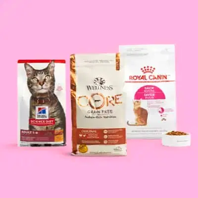 En İyi Kedi Mamaları