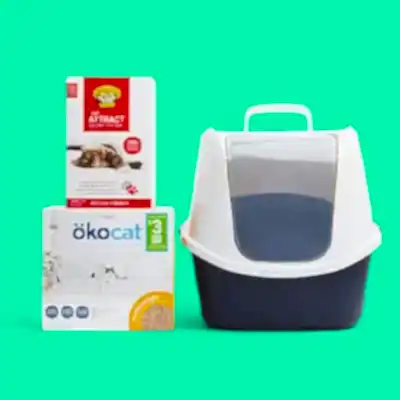 En İyi Kedi Kumları