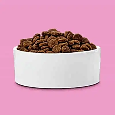 En İyi Yavru Kedi Mamaları