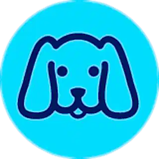 Köpeğinizin yaşı