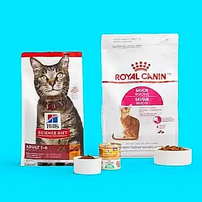 En İyi Kedi Maması Markaları