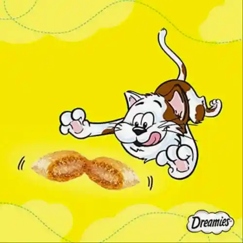 En İyi Kedi Ödül Mamaları