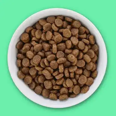 En İyi Diyet Kedi Mamaları