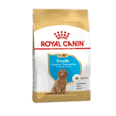 Royal Canin Poodle Junior Yavru Köpek Maması 3 Kg