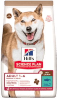 En İyi Yaşlı Köpek Mamaları