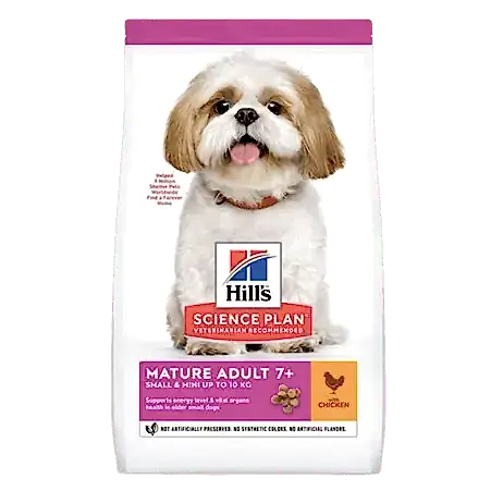 En İyi Urinary Köpek Mamaları