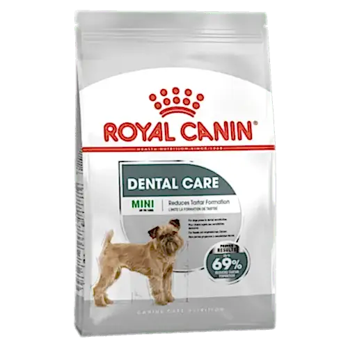 Köpeklerde Ağız ve Diş Sağlığını Koruyan En İyi Köpek Mamaları