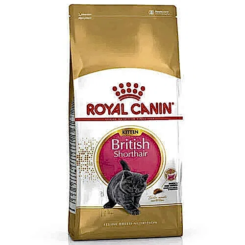 Royal Canin British Shorthair Kitten Yavru Kedi Maması 2 Kg