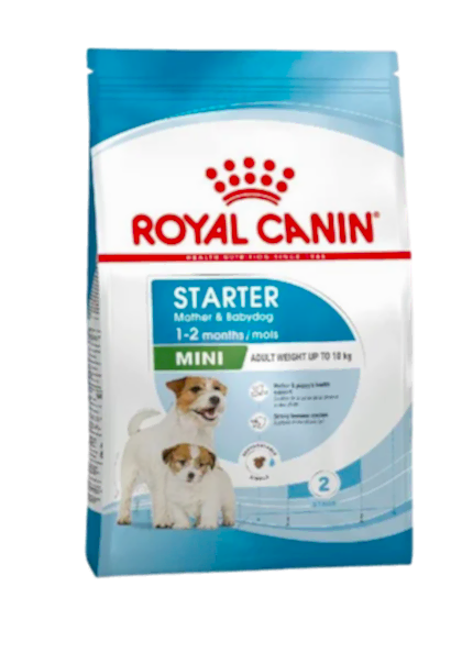 Royal Canin Mini Starter Küçük Irk Yavru Köpek Maması 4 Kg
