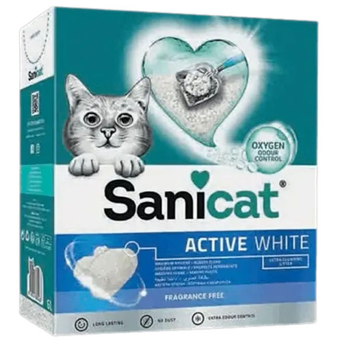 En İyi Yavru Kedi Kumları