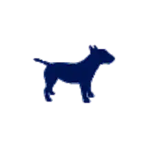 Medium