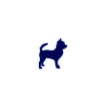 X Small