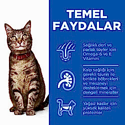 Hills Adult Kuzu Etli Yetişkin Kedi Maması 3 Kg - Thumbnail