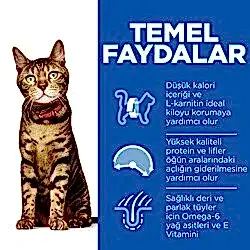 Hills Light Tavuklu Diyet Yetişkin Kedi Maması 1,5 Kg - Thumbnail