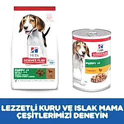 Hills Puppy Kuzu Etli Yavru Köpek Maması 2,5 Kg - Thumbnail