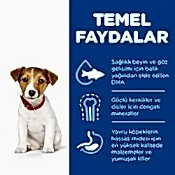 Hills Small Mini Küçük Irk Tavuklu Yavru Köpek Köpek Maması 1,5 kg - Thumbnail