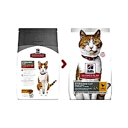 Hills Young Sterilised Tavuklu Kısırlaştırılmış Yetişkin Kedi Maması 10 Kg - Thumbnail