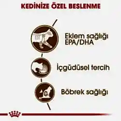 Royal Canin Ageing +12 Gravy Pouch Yaşlı KediKonservesi 85 Gr - Thumbnail