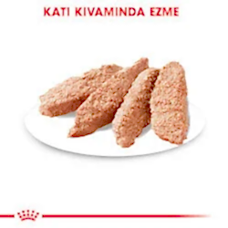 Royal Canin Exigent Pouch Konserve Köpek Maması 85 Gr - Thumbnail