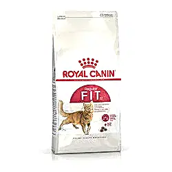 Royal Canin Fit 32 Yetişkin Kedi Maması 10 Kg - Thumbnail