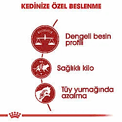 Royal Canin Fit 32 Yetişkin Kedi Maması 10 Kg - Thumbnail