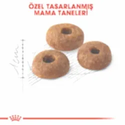 Royal Canin Fit 32 Yetişkin Kedi Maması 15 Kg - Thumbnail