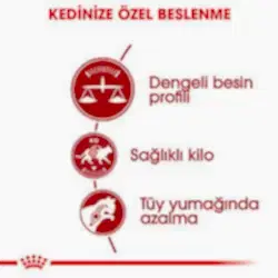 Royal Canin Fit 32 Yetişkin Kedi Maması 2 Kg - Thumbnail