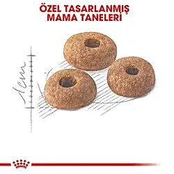 Royal Canin Fit 32 Yetişkin Kedi Maması 2 Kg - Thumbnail