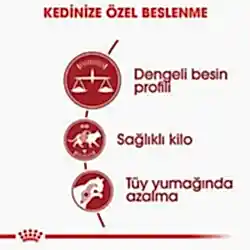 Royal Canin Fit 32 Yetişkin Kedi Maması 400 Gr - Thumbnail