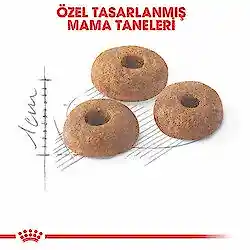 Royal Canin Fit 32 Yetişkin Kedi Maması 400 Gr - Thumbnail