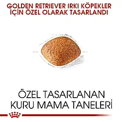 Royal Canin Golden Retriever Yetişkin Köpek Maması 12 Kg - Thumbnail