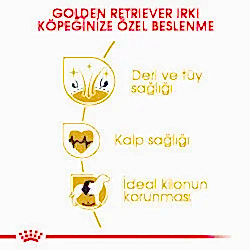Royal Canin Golden Retriever Yetişkin Köpek Maması 12 Kg - Thumbnail