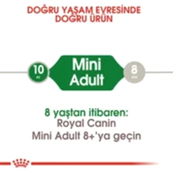 Royal Canin Mini Adult Küçük Irk Yetişkin Köpek Maması 2 Kg - Thumbnail