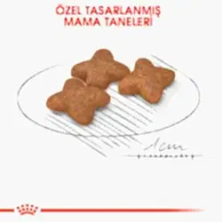 Royal Canin Mini Adult Küçük Irk Yetişkin Köpek Maması 2 Kg - Thumbnail