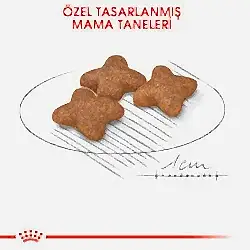 Royal Canin Mini Adult Küçük Irk Yetişkin Köpek Maması 4 Kg - Thumbnail