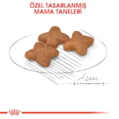 Royal Canin Mini Adult Küçük Irk Yetişkin Köpek Maması 4 Kg