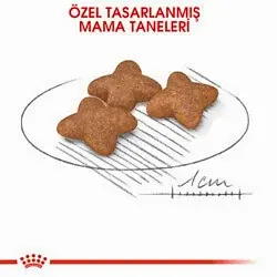 Royal Canin Mini Adult Küçük Irk Yetişkin Köpek Maması 8 Kg - Thumbnail