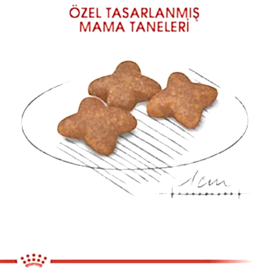 Royal Canin Mini Adult Küçük Irk Yetişkin Köpek Maması 8 Kg