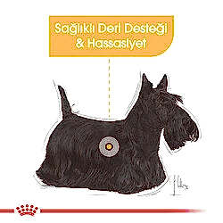 Royal Canin Mini Dermacomfort Pouch Konserve Köpek Maması 85 Gr - Thumbnail