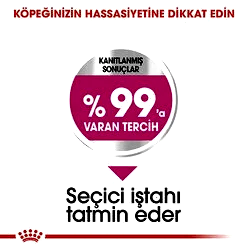 Royal Canin Mini Exigent Yetişkin Köpek Maması 3 Kg - Thumbnail