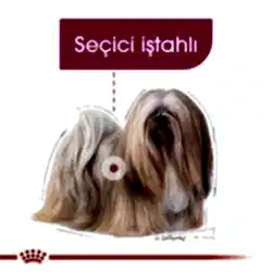Royal Canin Mini Exigent Yetişkin Köpek Maması 3 Kg - Thumbnail