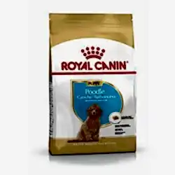 Royal Canin Poodle Junior Yavru Köpek Maması 3 Kg - Thumbnail