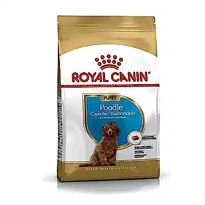 Royal Canin Poodle Junior Yavru Köpek Maması 3 Kg