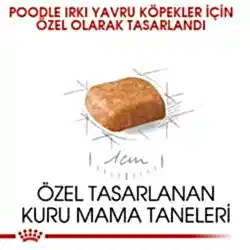 Royal Canin Poodle Junior Yavru Köpek Maması 3 Kg - Thumbnail