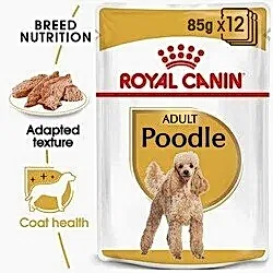 Royal Canin Poodle Pouch Köpek Konservesi 85 Gr - Thumbnail