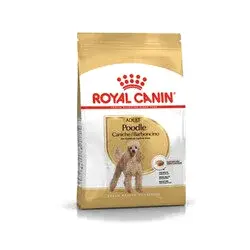 Royal Canin Poodle Yetişkin Köpek Maması 3 Kg - Thumbnail