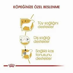 Royal Canin Poodle Yetişkin Köpek Maması 3 Kg - Thumbnail