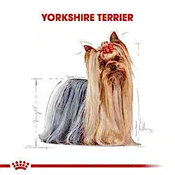 Royal Canin Yorkshire Terrier Adult Pouch Köpek Maması 85 Gr - Thumbnail