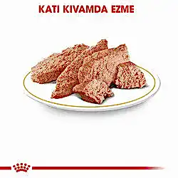Royal Canin Yorkshire Terrier Adult Pouch Köpek Maması 85 Gr - Thumbnail